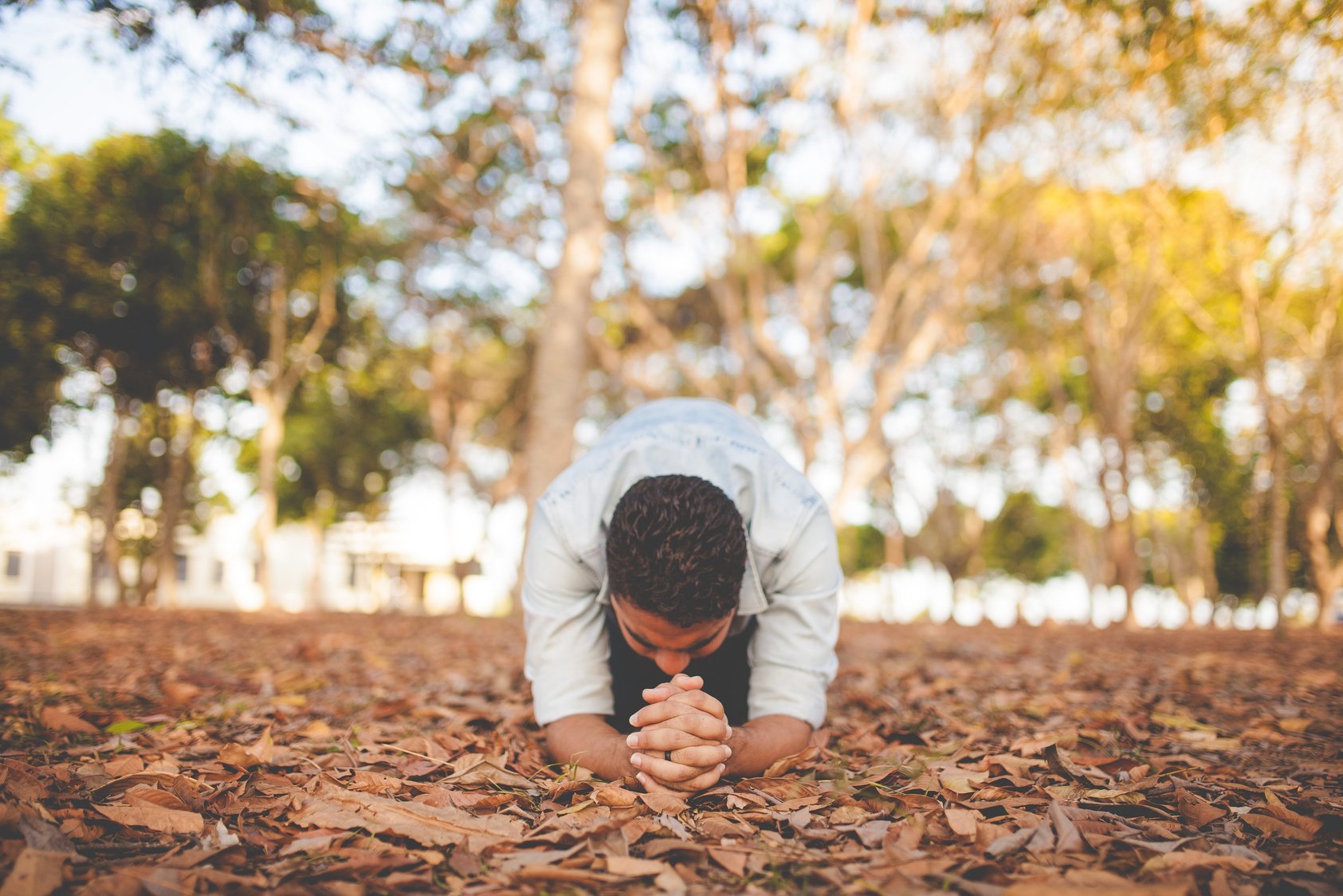 Man Praying in the Forest